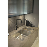 Abode Hex Kitchen Mixer Tap with Hexagon Style Dual Levers & Stylish Industrial Design