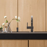 Alveus Laguna Monarch Kitchen Tap with Single Lever in Anthracite Life Style