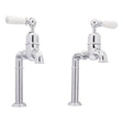 Bidbury & Co. Hanford Bibcock Taps With Porcelain Handles Polished Chrome 57866710
