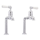 Bidbury & Co. Hanford Bibcock Taps With Porcelain Handles Polished Chrome 57866710
