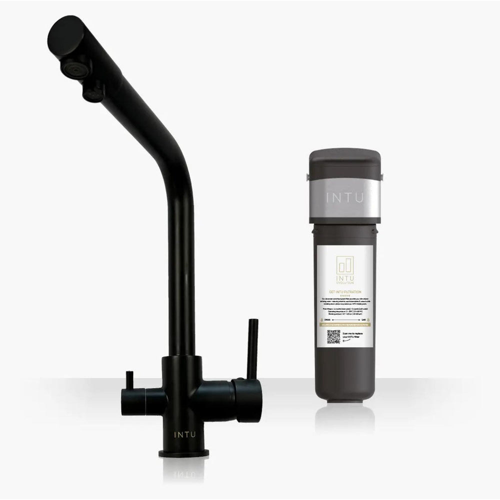 INTU Fusion 3 in 1 Filtered Cold Water Kitchen Tap in Matt Black With Square Neck-The Tap Collection