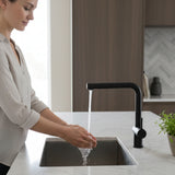 Nobili Live L Spout Kitchen Tap in Black Life Style