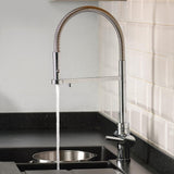 Pronteau Professional Pro-Spout 3in1 2.1 litres Filter Tap in Chrome Life Style