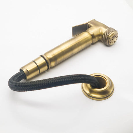 Charlbury kitchen handspray in solid brass with its braided pull-out hose and base plate