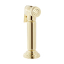 Bidbury & Co. Charlbury kitchen handspray in Polished Gold