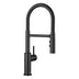 BLANCO Catris-S Flexo Single Lever Kitchen Mixer Tap with Pull Out Spray in Black Matt