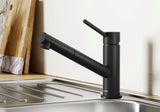 BLANCO Kano-S Single Lever Kitchen Mixer Tap with Pull-Out Spray in Black Matt on a Stainless Steel Sink Drainer
