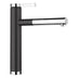 BLANCO Linee-S Single Lever Pull Out Kitchen Mixer Tap in Anthracite/Chrome