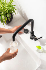 Abode Swich Water Filter Diverter Round Handle Water Filter System