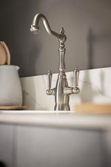 Abode Mayenne Monobloc Dual Lever Kitchen Mixer Tap