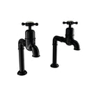 Bidbury & Co. Caswell Kitchen Taps with Crosshead Handles & Classic Bibcock Design